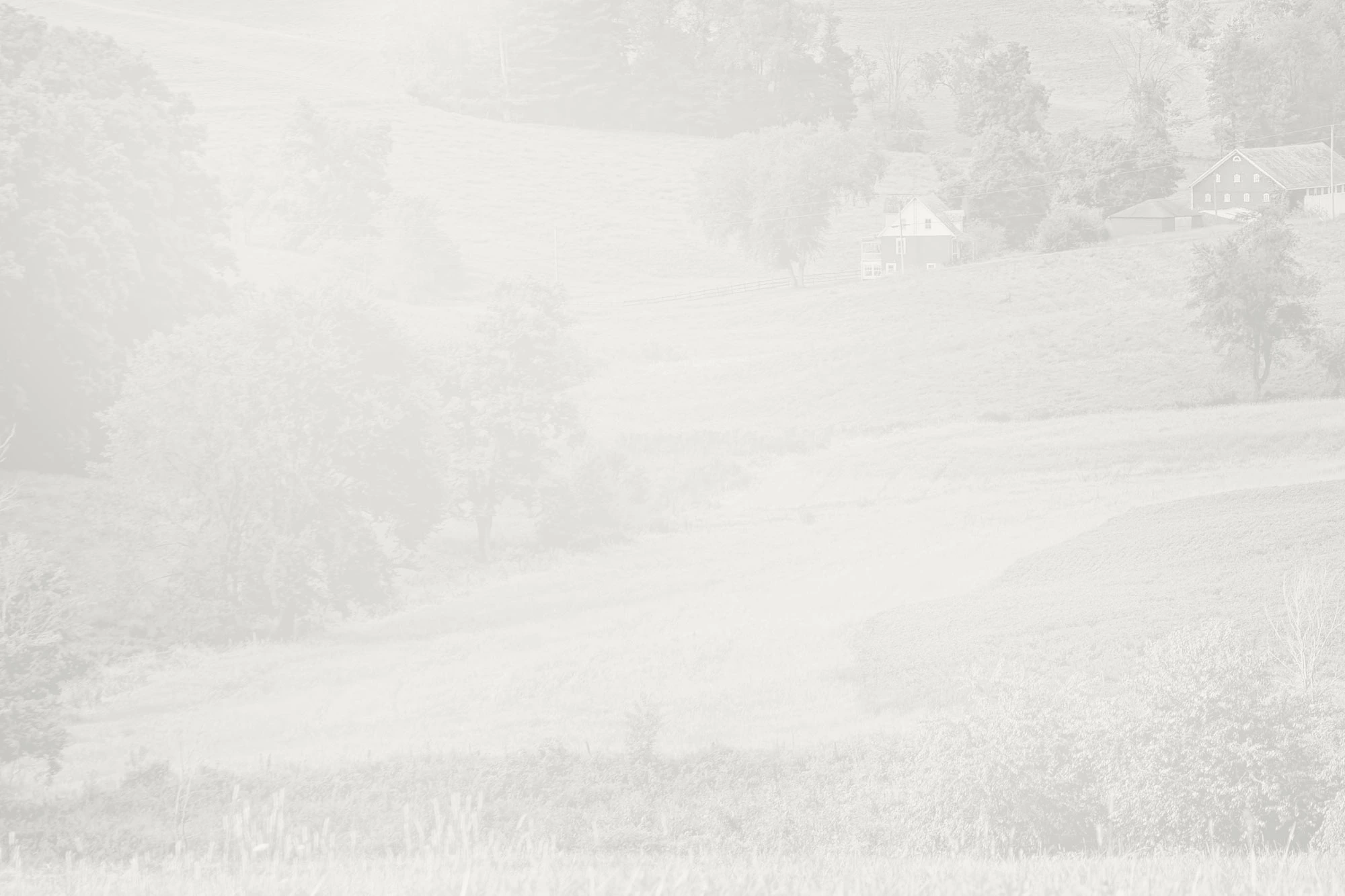 Photo of rural landscape.